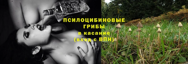 apvp Баксан