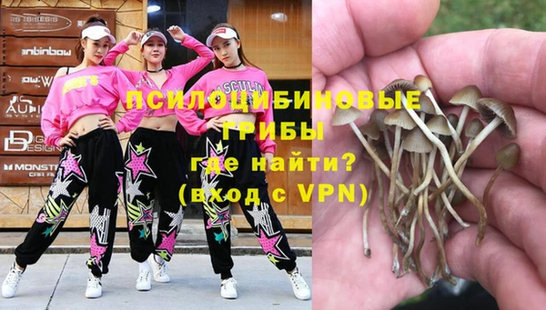 apvp Баксан