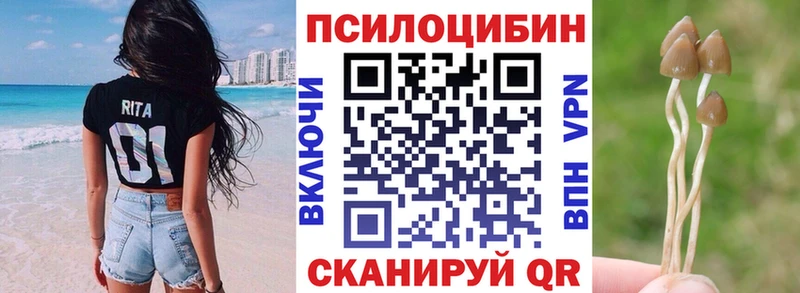 Галлюциногенные грибы GOLDEN TEACHER  ОМГ ОМГ tor  Озёры 